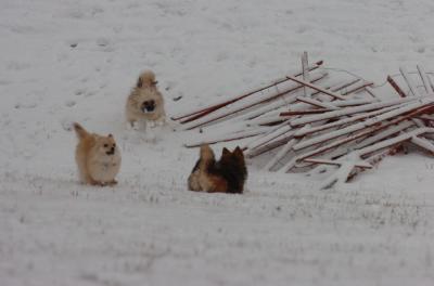 Jan7_05_421.JPG