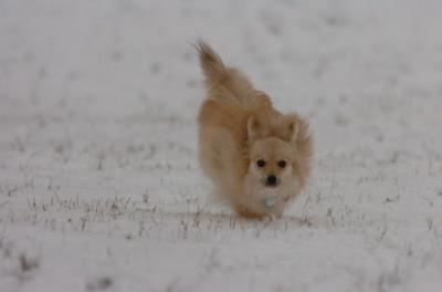 Jan7_05_422.JPG