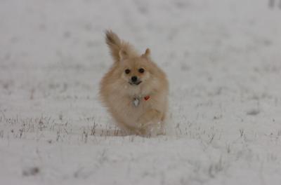 Jan7_05_423.JPG