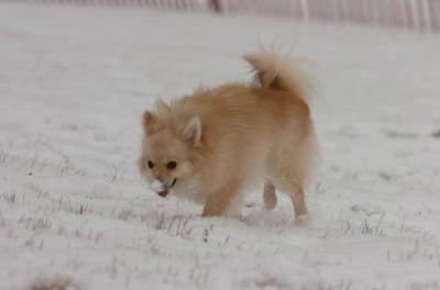 Jan7_05_424.JPG