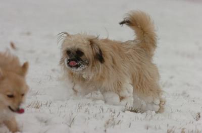 Jan7_05_426.JPG