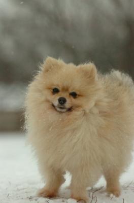 Jan7_05_427.JPG