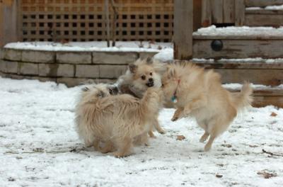 Jan8_06_437.JPG