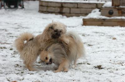 Jan8_06_447.JPG