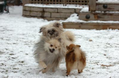 Jan8_06_448.JPG
