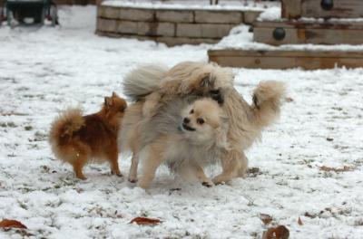 Jan8_06_451.JPG