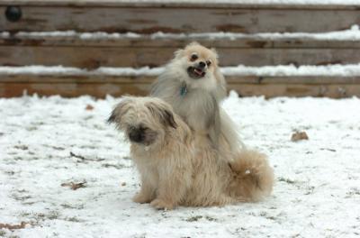 Jan8_06_470.JPG