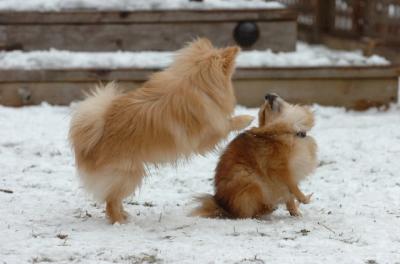 Jan8_06_476.JPG