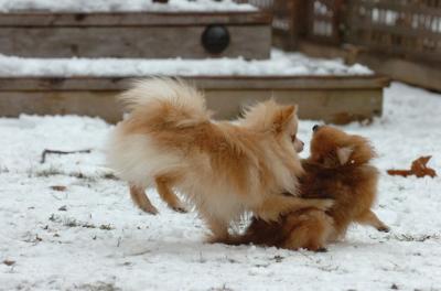 Jan8_06_478.JPG