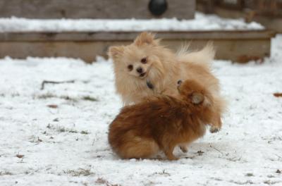 Jan8_06_479.JPG