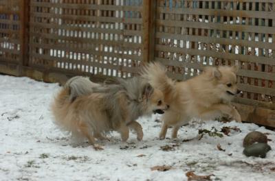 Jan8_06_514.JPG