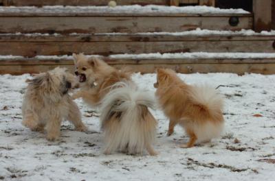 Jan8_06_523.JPG
