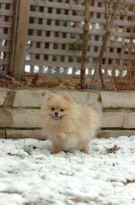 Jan8_06_235.JPG