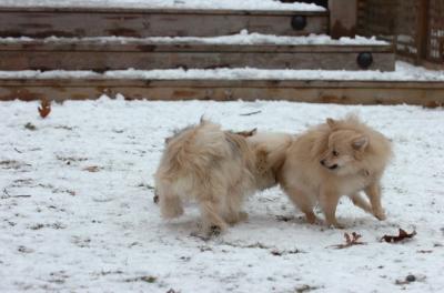 Jan8_06_259.JPG