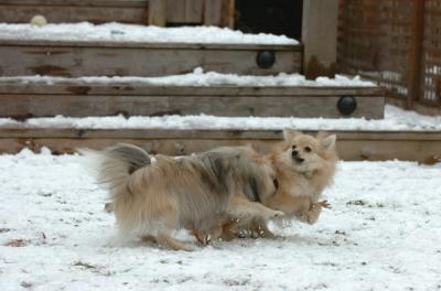 Jan8_06_276.JPG