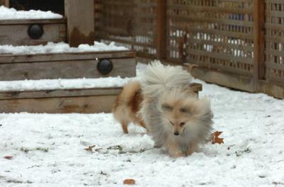 Jan8_06_279.JPG