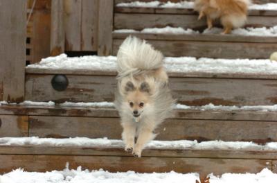 Jan8_06_284.JPG