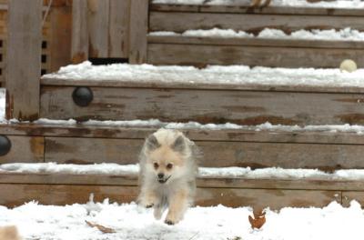 Jan8_06_285.JPG