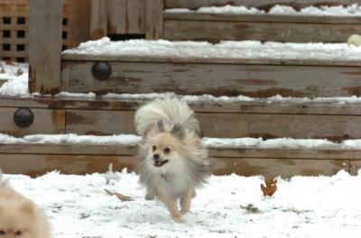 Jan8_06_286.JPG
