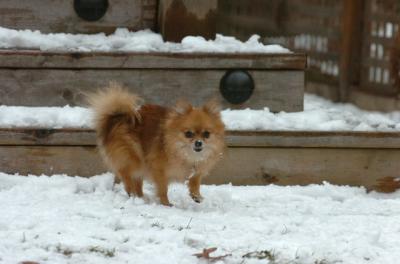 Jan8_06_287.JPG