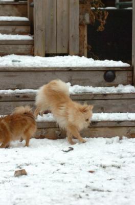 Jan8_06_288.JPG