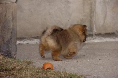 Jan19_06_168.JPG
