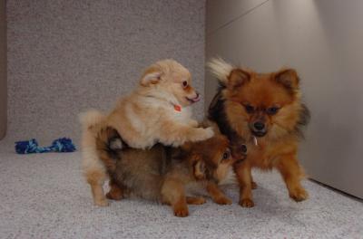 Jan27_06_306.JPG