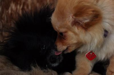 Feb4_06_303.JPG