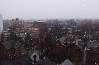 Feb4_06_439.JPG