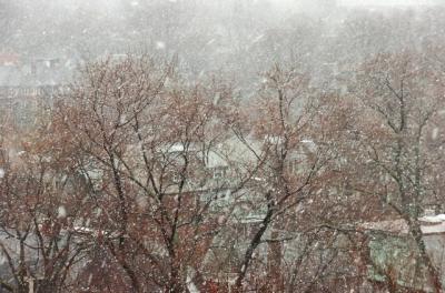 Feb4_06_442.JPG