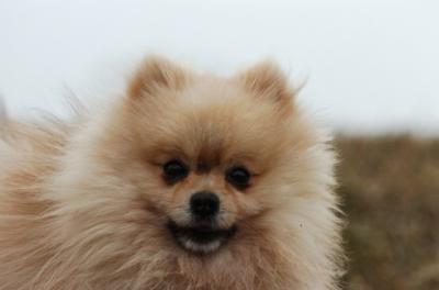 Feb5_06_010.JPG