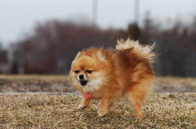 Feb5_06_028.JPG