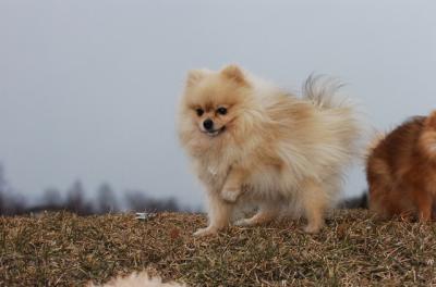 Feb5_06_048.JPG