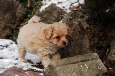 Feb8_06_299.JPG