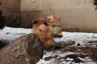 Feb8_06_330.JPG