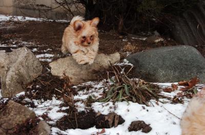 Feb8_06_333.JPG