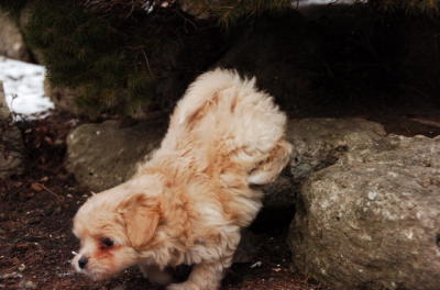 Feb8_06_340.jpg