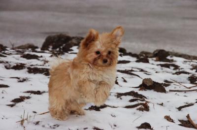 Feb8_06_368.JPG