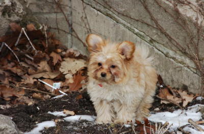 Feb8_06_388.JPG