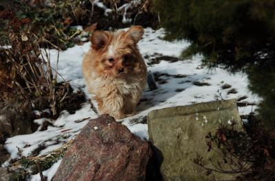 Feb8_06_043.JPG