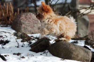 Feb8_06_055.JPG