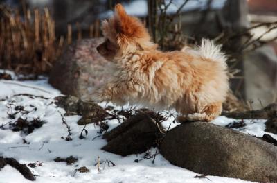 Feb8_06_056.JPG
