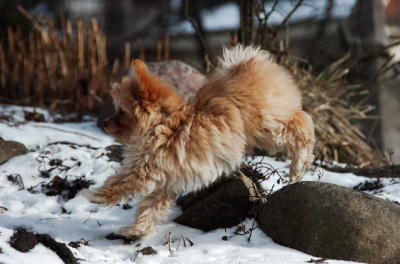 Feb8_06_057.JPG