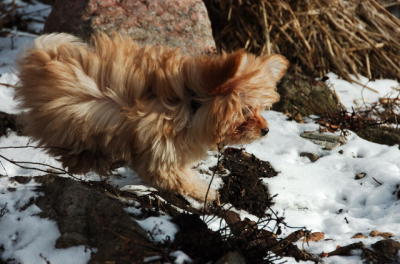 Feb8_06_097.JPG