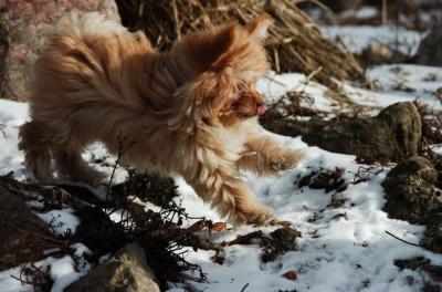 Feb8_06_098.JPG
