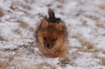 Feb10_06_247.JPG