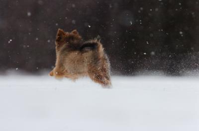 Feb10_06_257.JPG