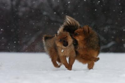 Feb10_06_268.JPG