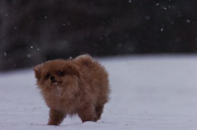 Feb10_06_298.JPG