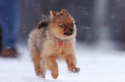 Feb10_06_329.JPG